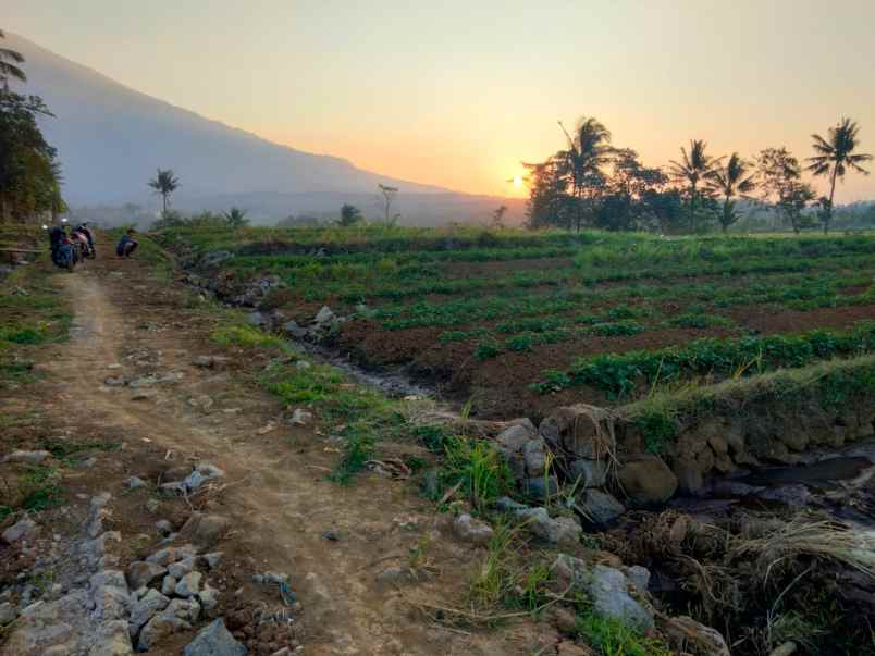 tanah sawah view gunung dijual