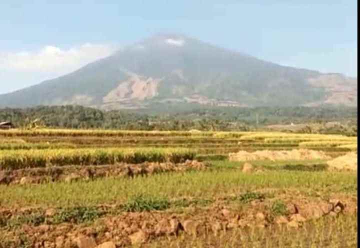 tanah sawah view gunung dijual di mandirancan