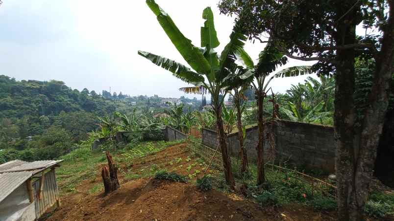 tanah sersan bajuri