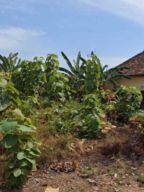 tanah shm lokasi strategis tuban kota