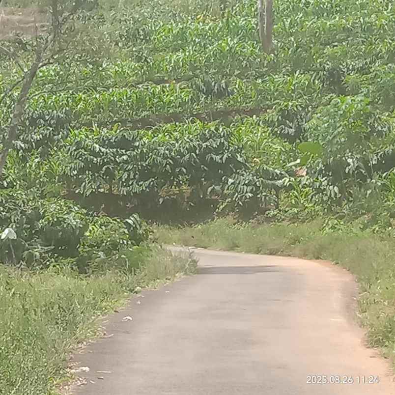 tanah untuk kandang kabupaten batang
