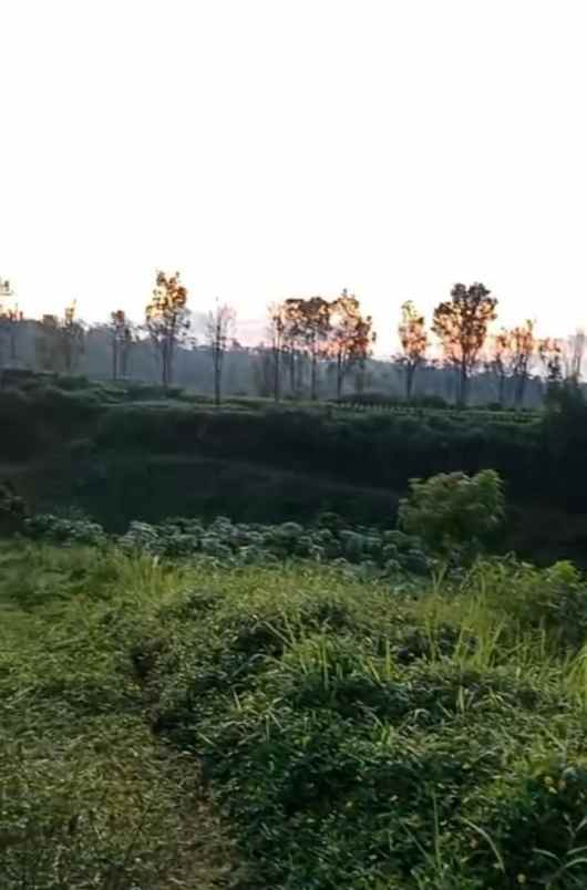 tanah untuk kandang kabupaten batang