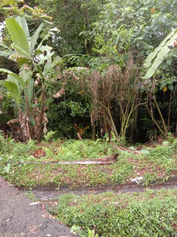 tanah view sawah di lukluk badung 20 menit ke canggu