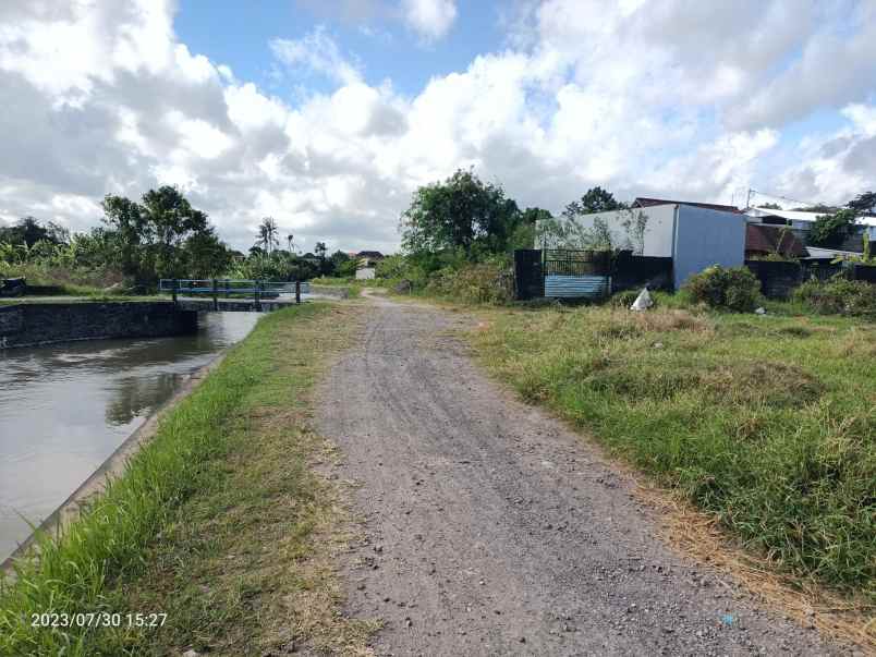 tanah view sawah di lukluk badung 20 menit ke canggu