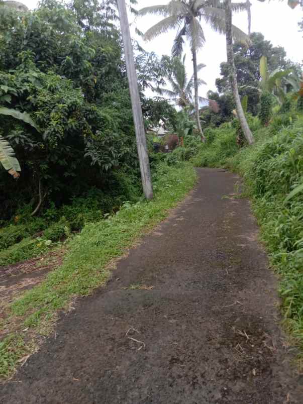 tanah view sawah di lukluk badung 20 menit ke canggu