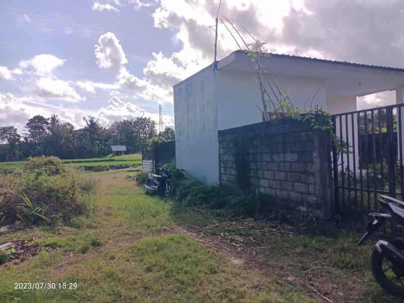 tanah view sawah di lukluk badung 20 menit ke canggu