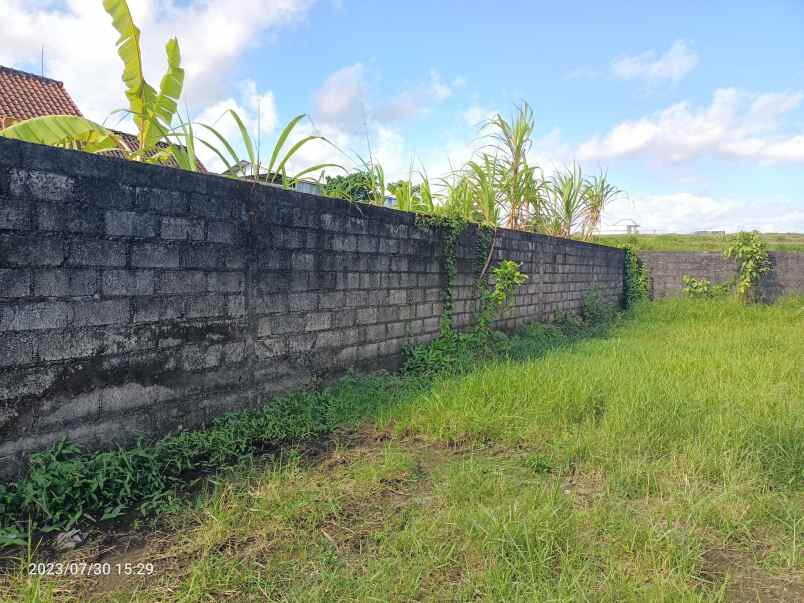 tanah view sawah di lukluk badung 20 menit ke canggu