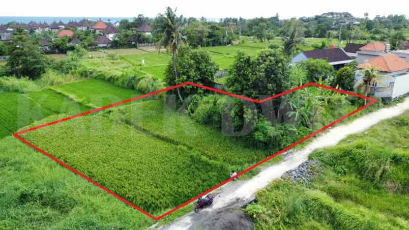 tanah view sawah pantai keramas lingkungan villa