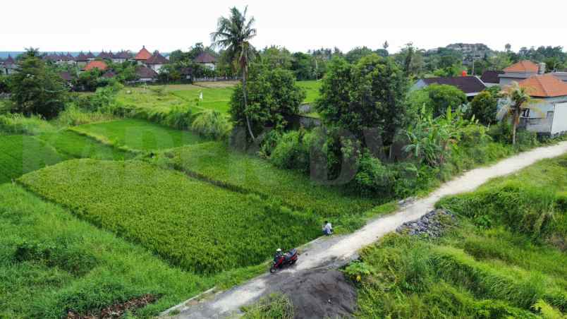 tanah view sawah pantai keramas lingkungan villa