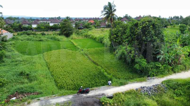 tanah view sawah pantai keramas lingkungan villa