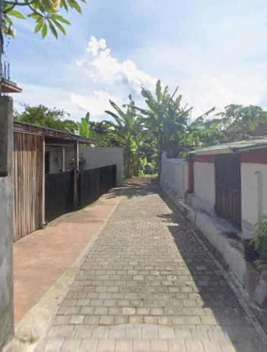tanah view sungai dan jungle di lodtunduh ubud bali