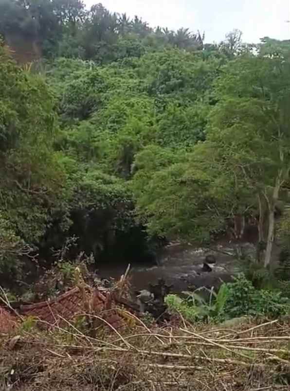 tanah view sungai dan jungle di lodtunduh ubud bali