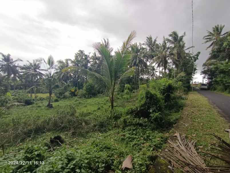 tanah zona kuning di selemadeg timur tabanan bali