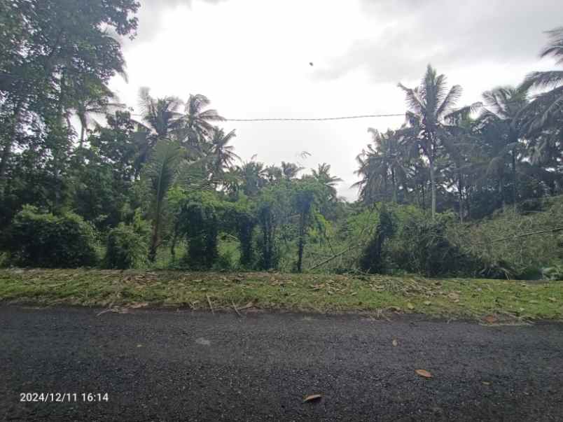 tanah zona kuning di selemadeg timur tabanan bali