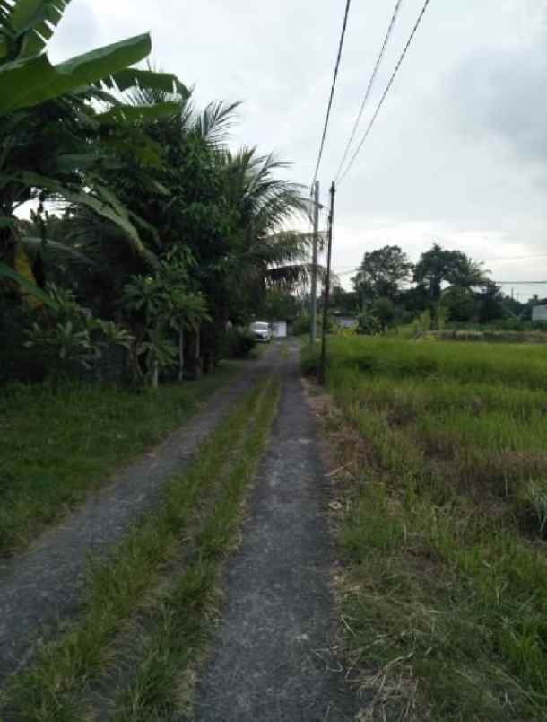 tanah zona pariwisata view sawah di sayan ubud bali