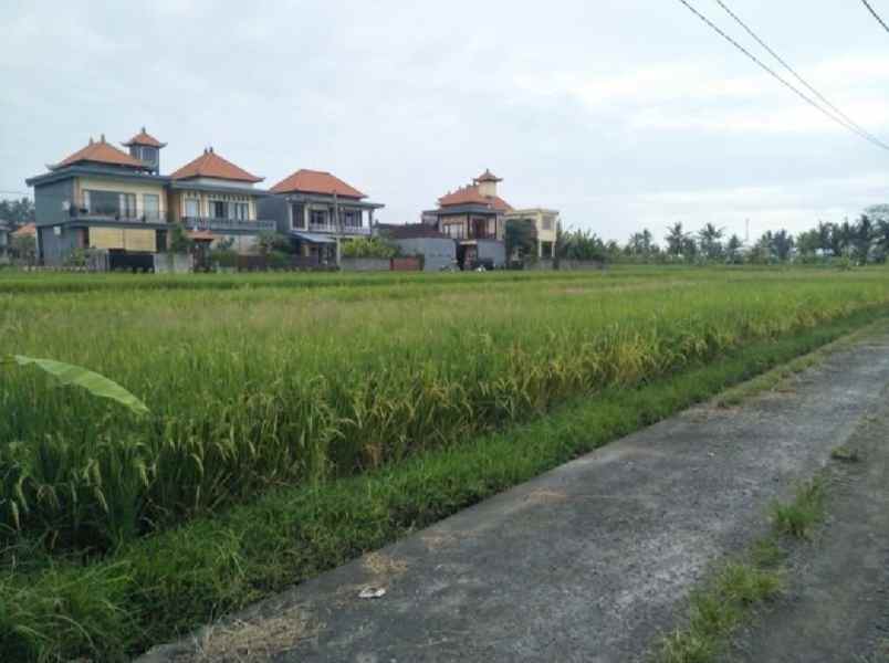 tanah zona pariwisata view sawah di sayan ubud bali