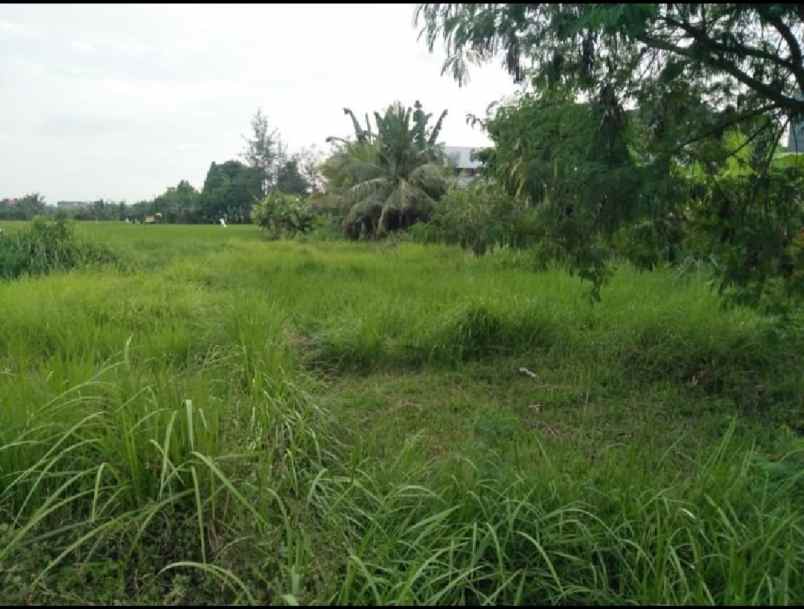 tanah zona pariwisata view sawah di sayan ubud bali