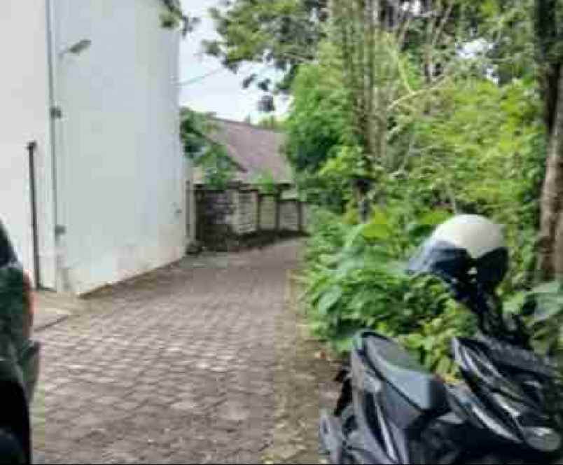 tanah zona pink di pantai bingin uluwatu bali