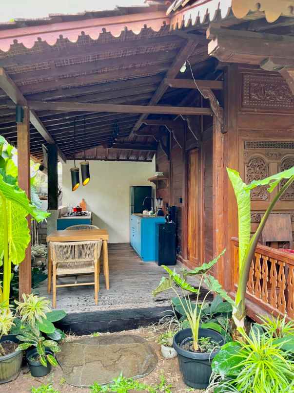 villa ubud gianyar bali super murah dekat pasar ubud