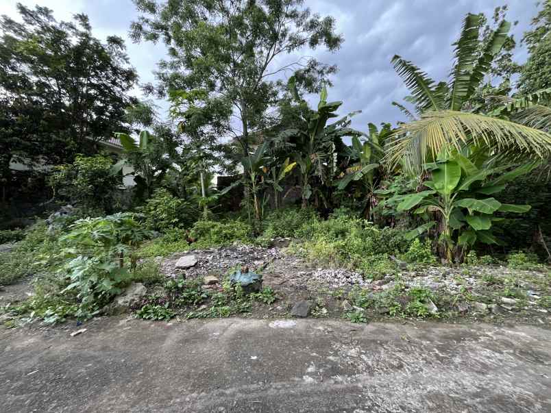 500 jt an tanah pugeran maguwo dalam ringroad