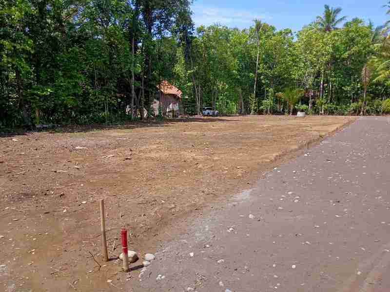 dekat bandara yia kulon progo tanah murah 100 juta an