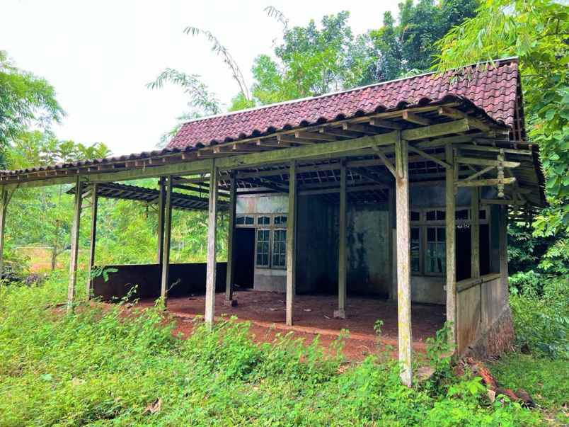 dijual kebun durian bonus rumah joglo karanganyar