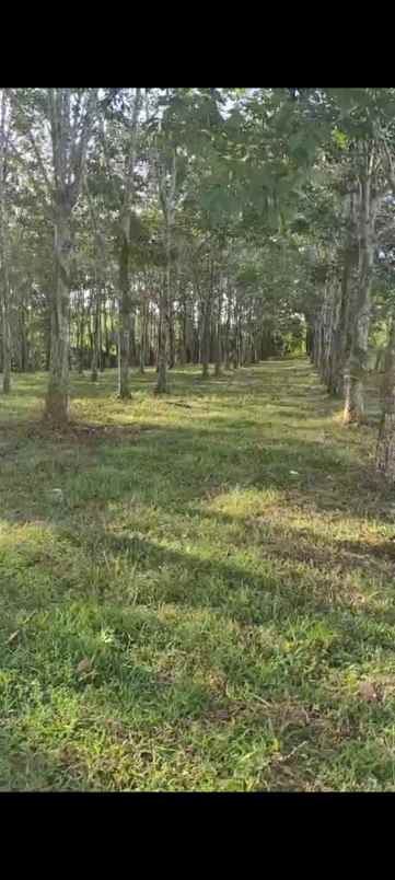 dijual lokasi strategis cocok untuk perumahan