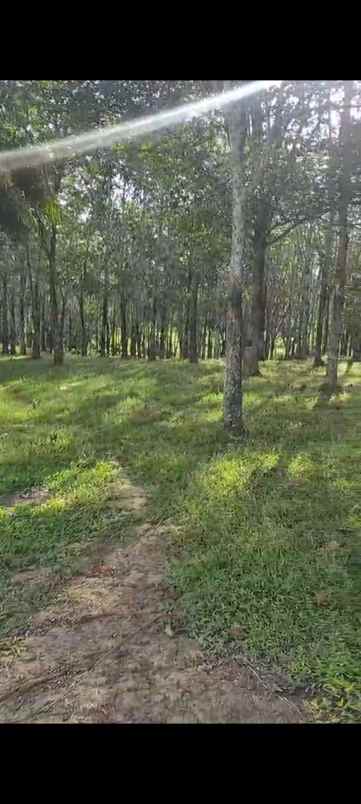 dijual lokasi strategis cocok untuk perumahan