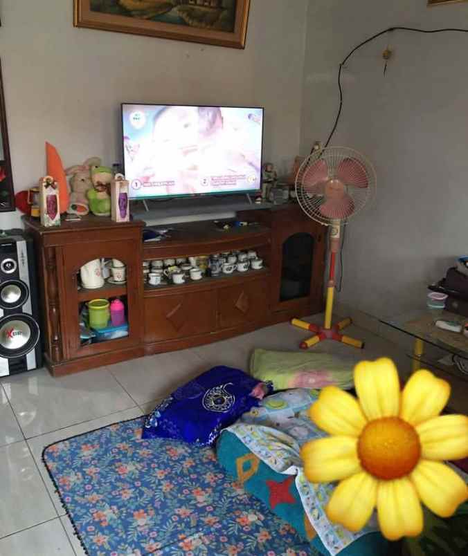 dijual rumah dijual rumah di jln