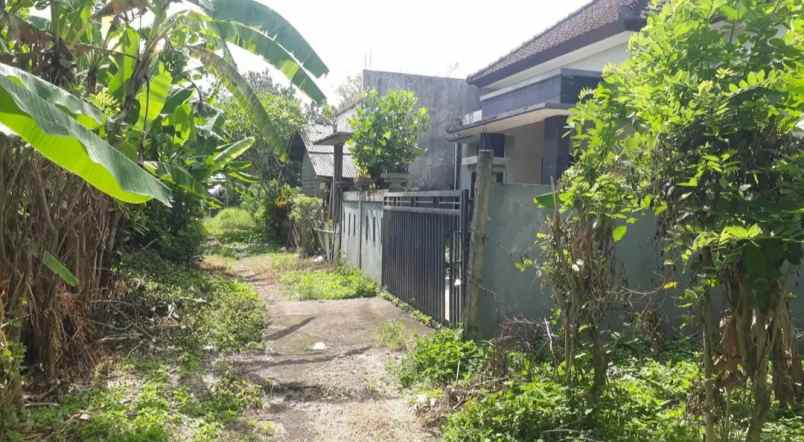 dijual rumah ds bajra kec selemadeg kab