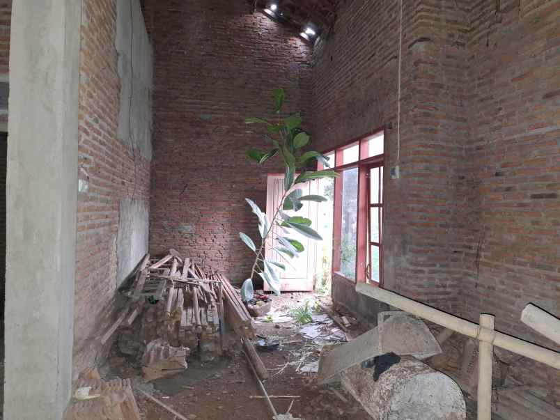 dijual rumah lama di tegal besar jember