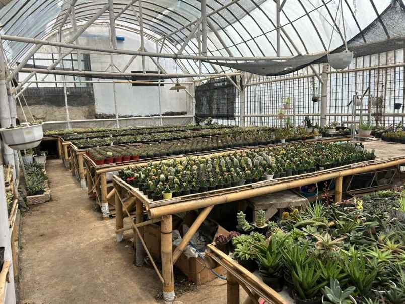 dijual rumah lembang