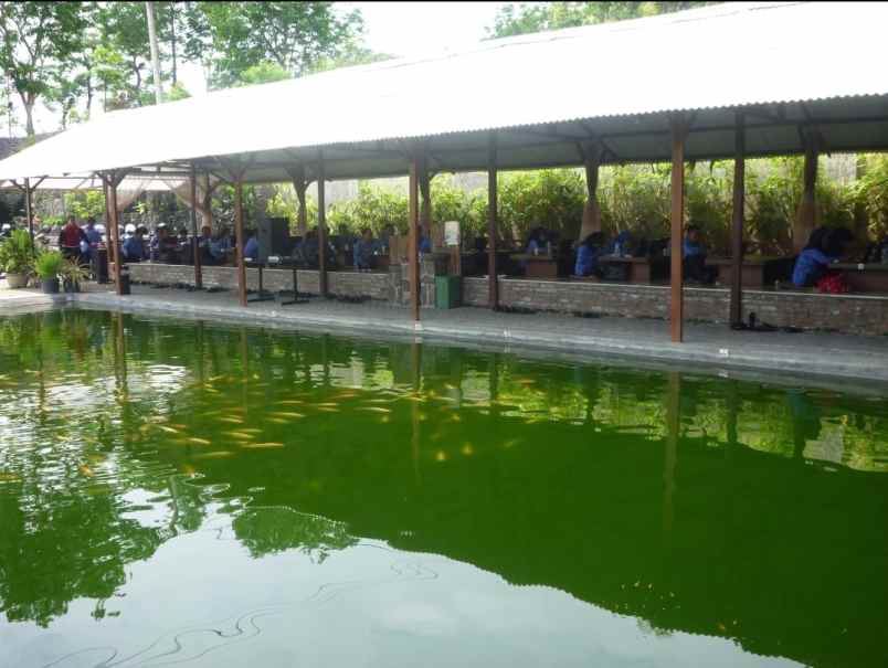 dijual rumah makan dan kolam pancing