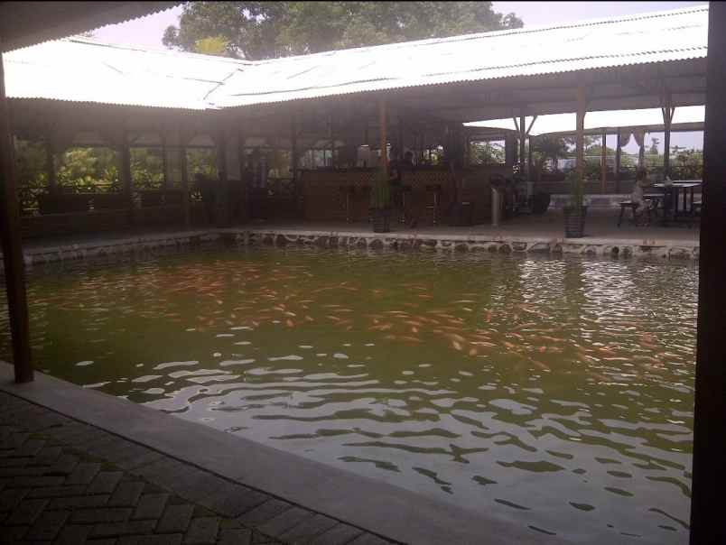 dijual rumah makan dan kolam pancing