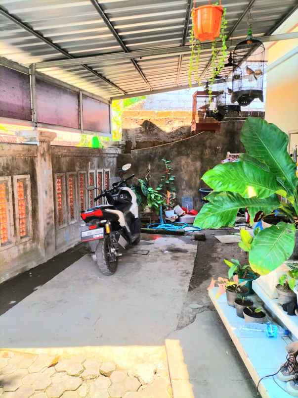 dijual rumah ubung denpasar bali