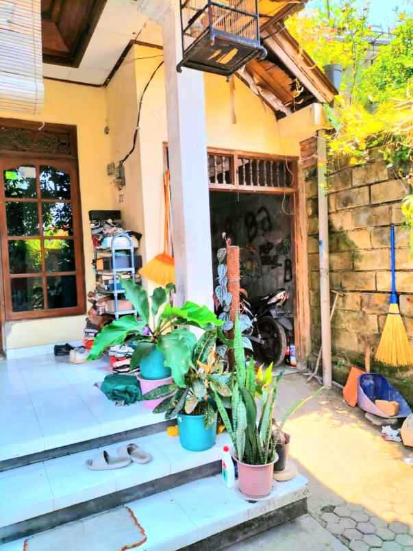 dijual rumah ubung denpasar bali