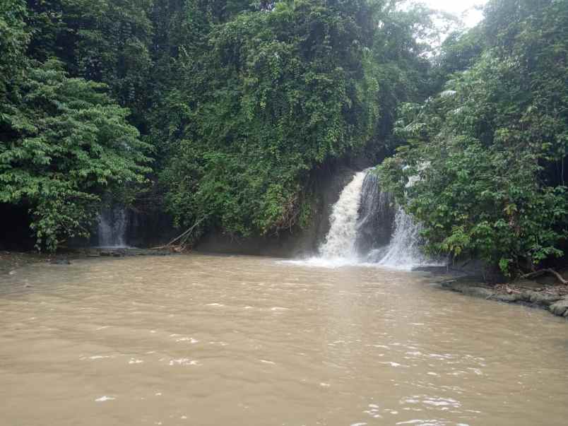 dijual tanah 85 ha di pandeglang banten