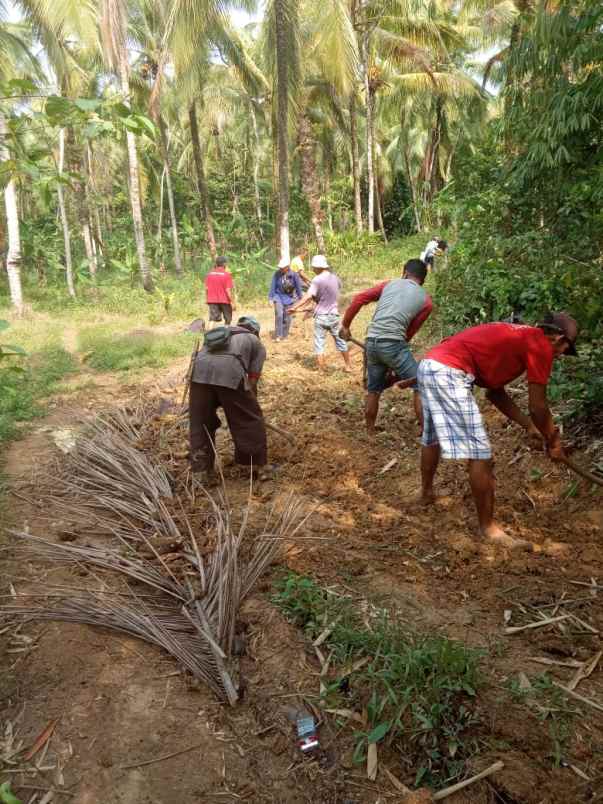 dijual tanah 85 ha di pandeglang banten