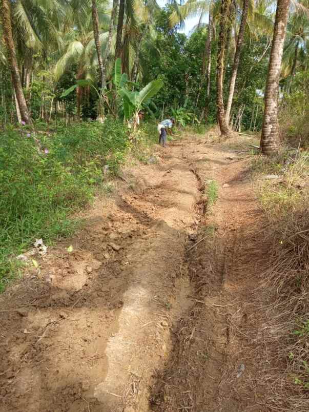 dijual tanah 85 ha di pandeglang banten