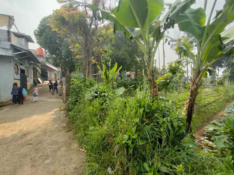 dijual tanah area cihanjuang parongpong bandung barat