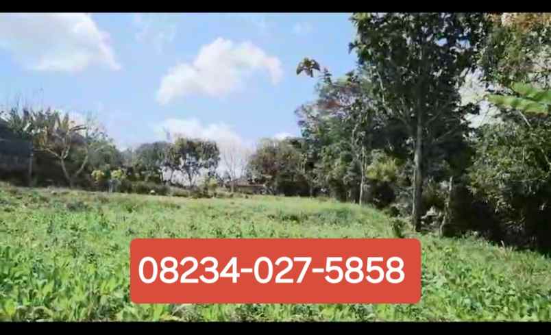 dijual tanah baturiti tabanan bali