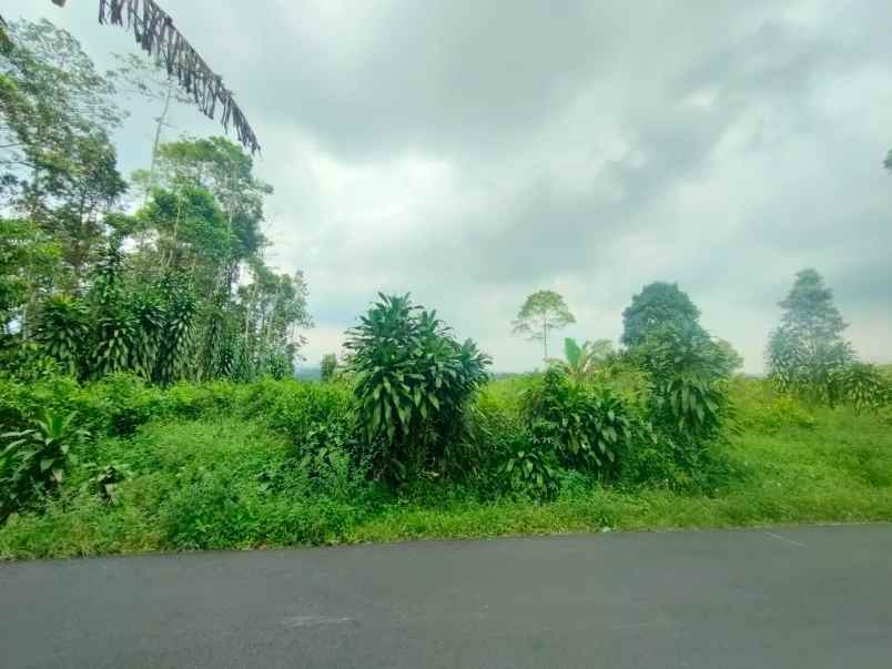 dijual tanah bojong