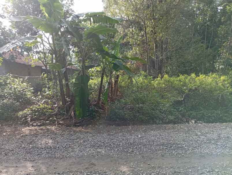 dijual tanah bojong