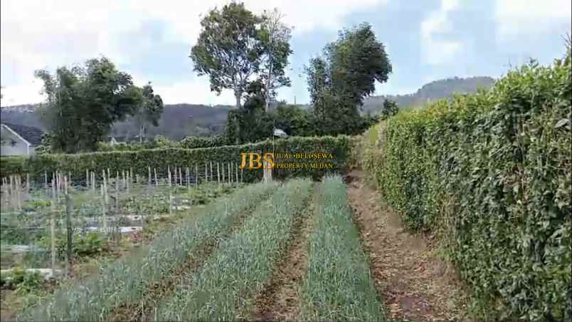 dijual tanah daerah karo jalan kebun bunga dolat rayat