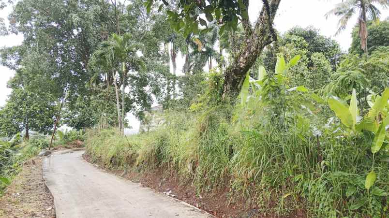 dijual tanah desa dukuh menteng kel