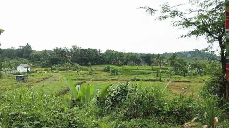 dijual tanah desa dukuh menteng kel