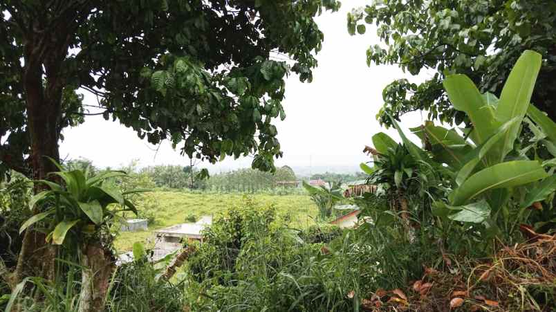 dijual tanah desa dukuh menteng kel