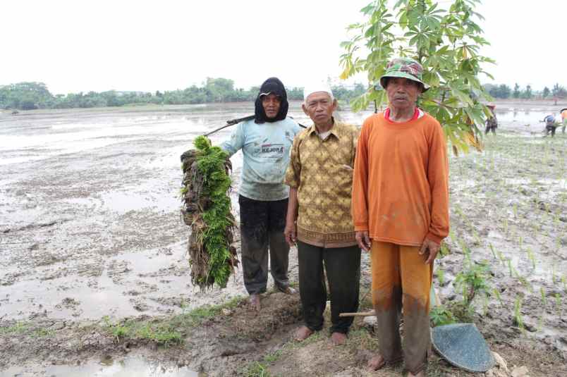 dijual tanah desa suka asih cikarang