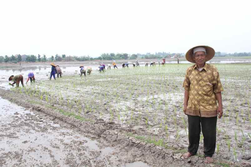 dijual tanah desa suka asih cikarang