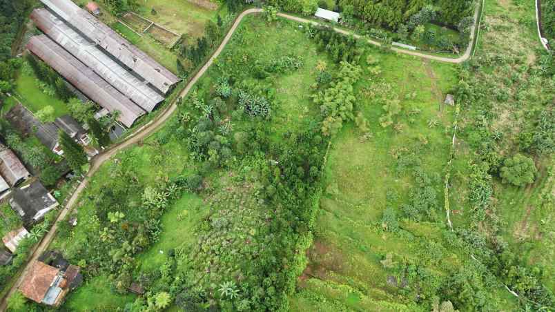 dijual tanah desa sukajadi